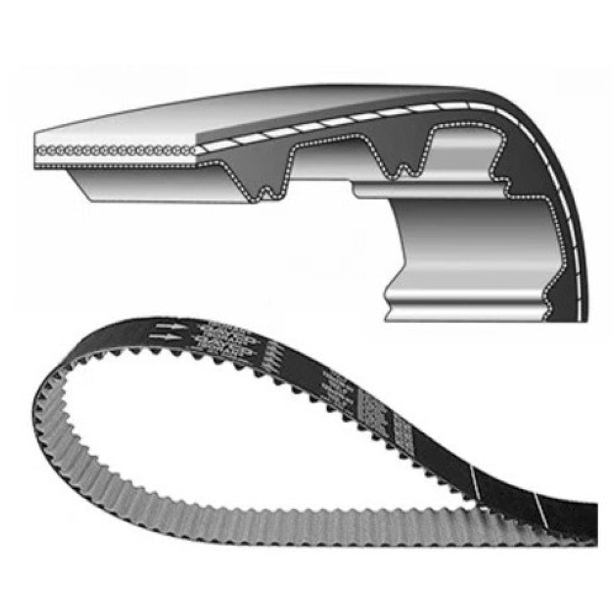 Courroie De Distribution Dayco Standard 1117547