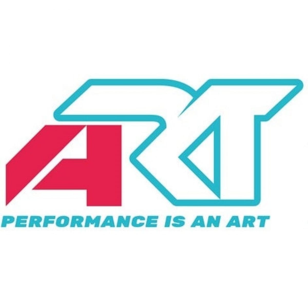 Jeu de Rayons ART Haan Wheels 19"" Argent/têtes de rayons Argent 32 pièces