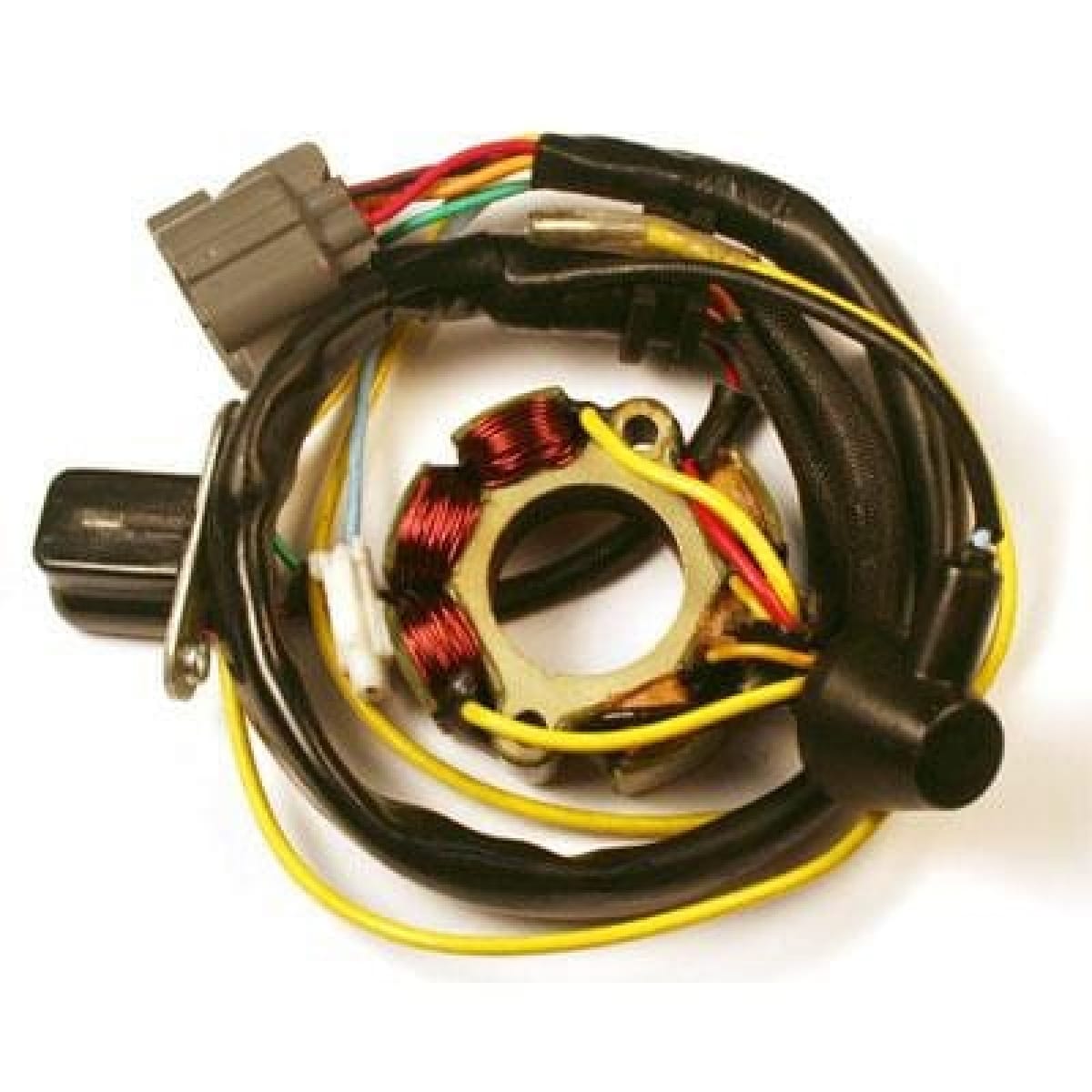 Stator Electrosport Avec Bobine D'Éclairage Kawasaki KX250F/Suzuki RM-Z250 012521