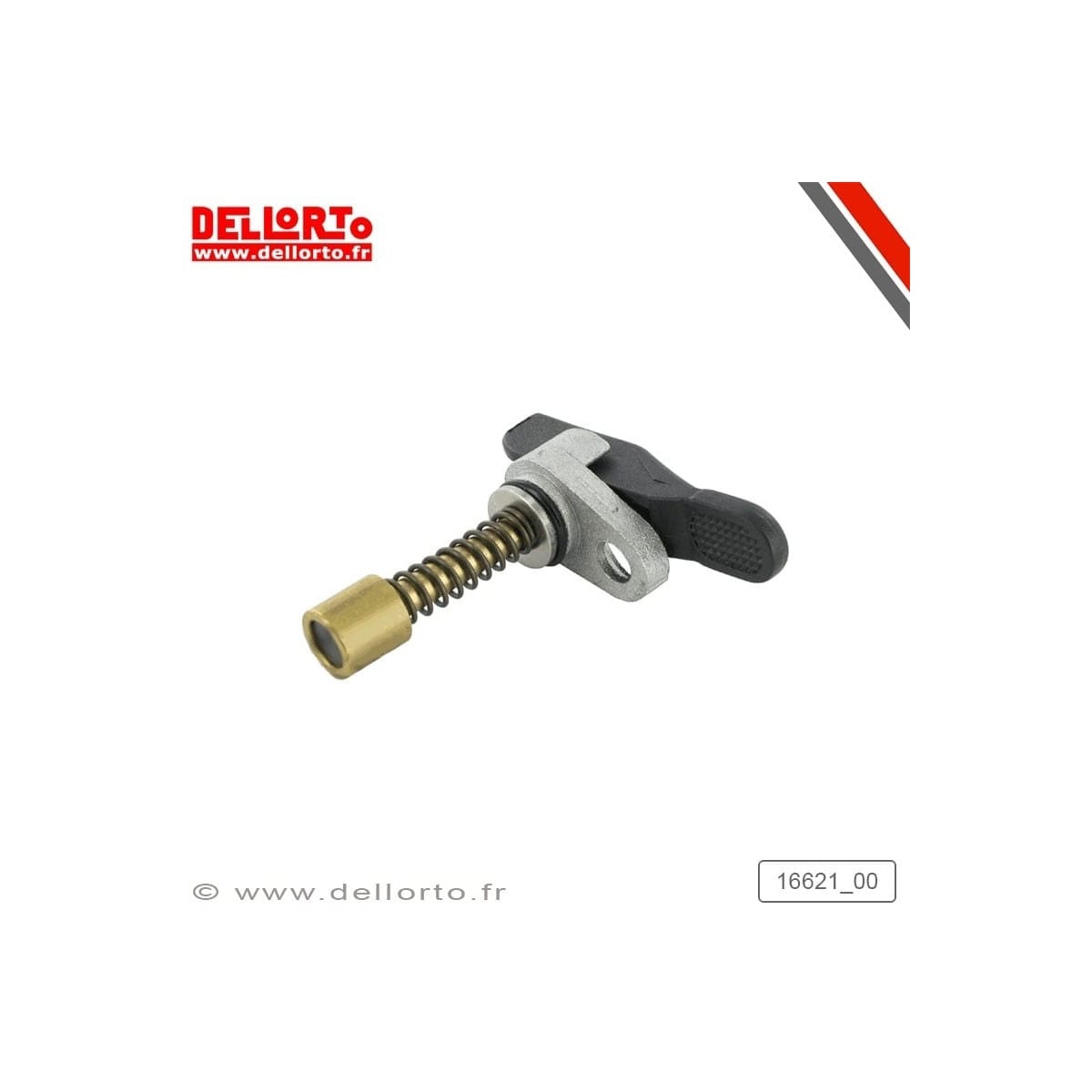 Kit Starter Manuel Dell Orto VHST 28 mm