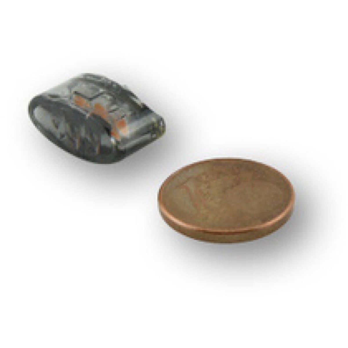 CLIGNOTANTS LED SHIN YO MODULE ELLIPSOID 1107524